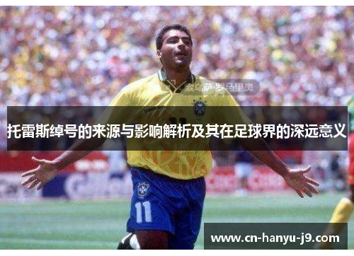 托雷斯绰号的来源与影响解析及其在足球界的深远意义 托雷斯绰号的来源与影响解析及其在足球界的深远意义