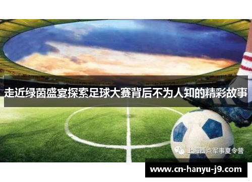 走近绿茵盛宴探索足球大赛背后不为人知的精彩故事